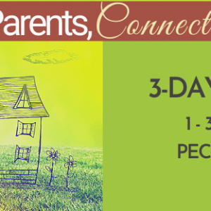 Conscious Parents, Connected Parenting Retreat