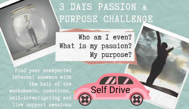 Passion & Purpose self drive